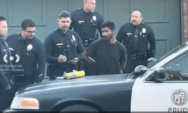 Arson suspect arrested in Woodland Hills near Kenneth Fire, Residents restrained suspect